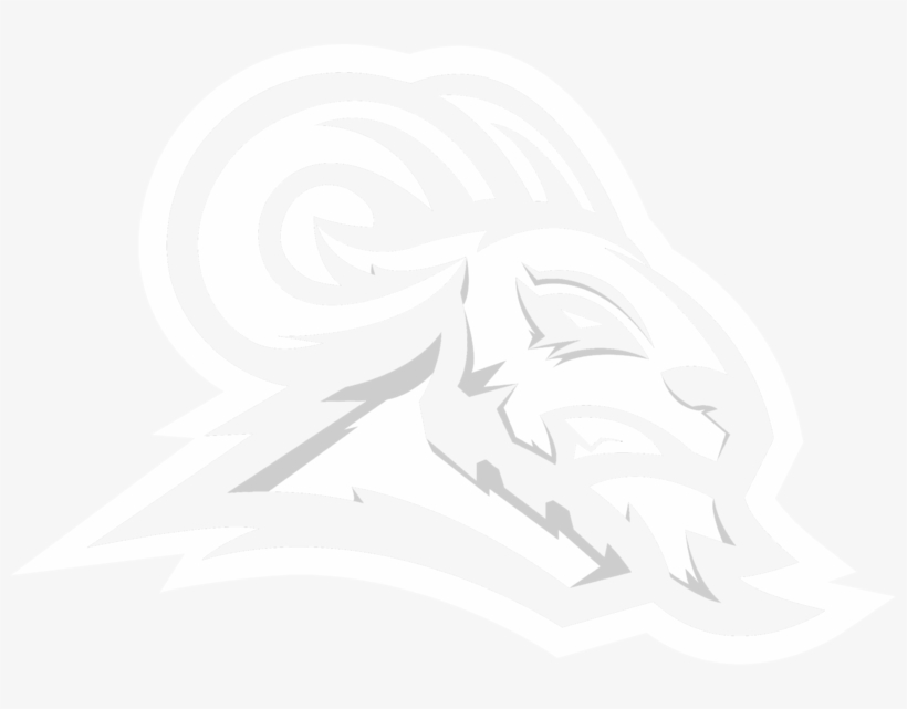 Portfolio - Sketch, transparent png download