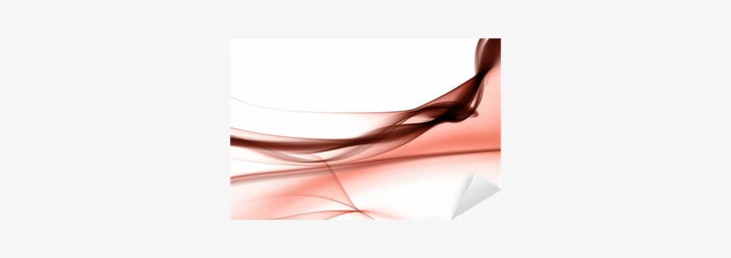 Still Life Photography, transparent png download