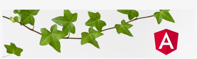 Angular Ivy - Ivy, transparent png download