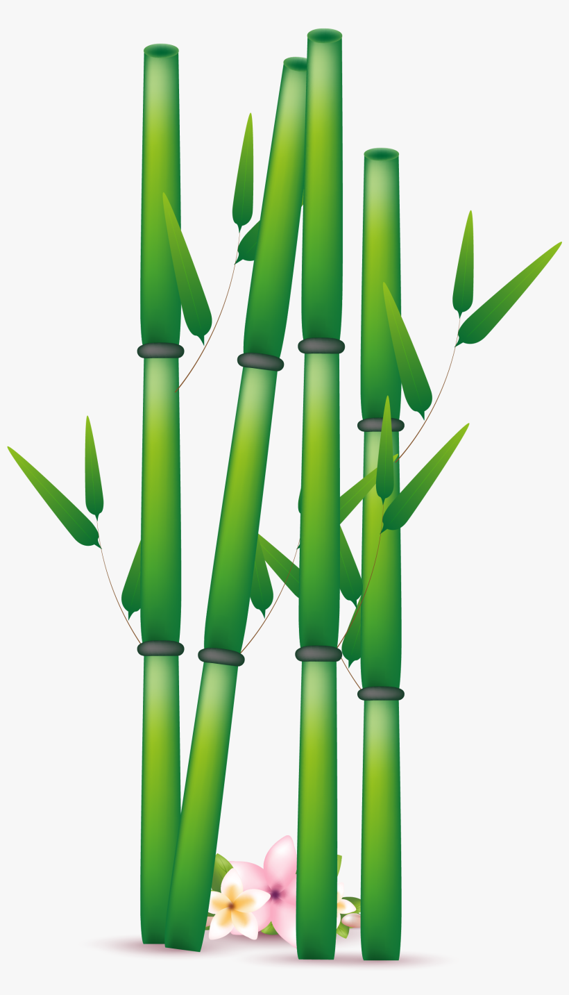 Bamboo Png Transparent Free Images - Clipart Bamboo Png, transparent png download