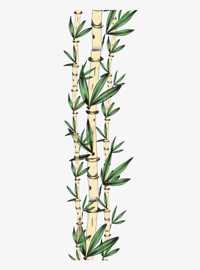 Tooth, transparent png download