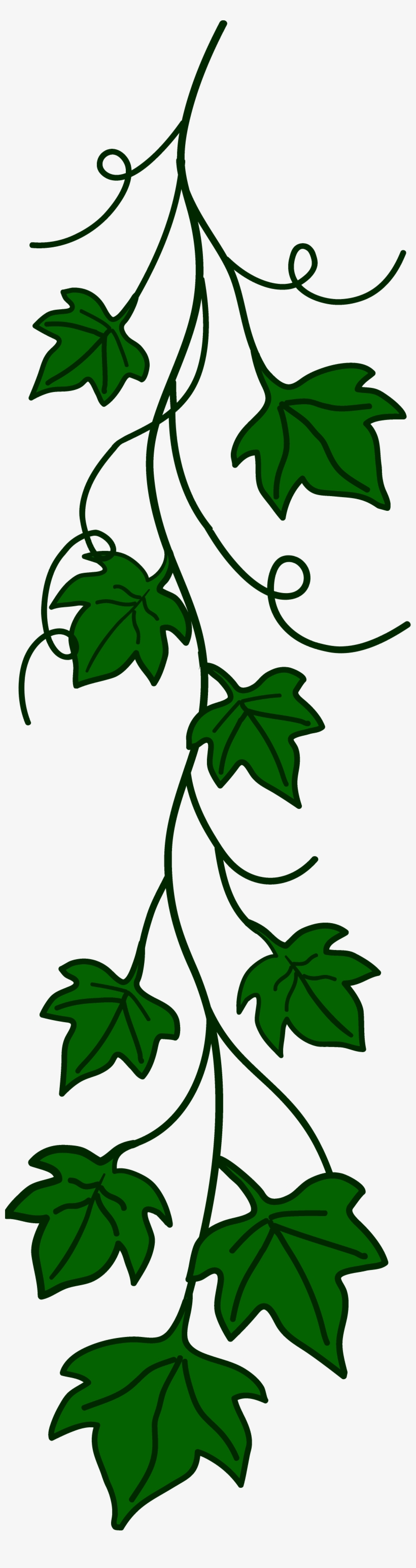 Other Wine Kits - Buds And Blooms Along The Vine [book], transparent png download