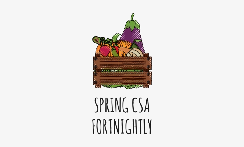 Fortnightly Share $40/fortnight, transparent png download