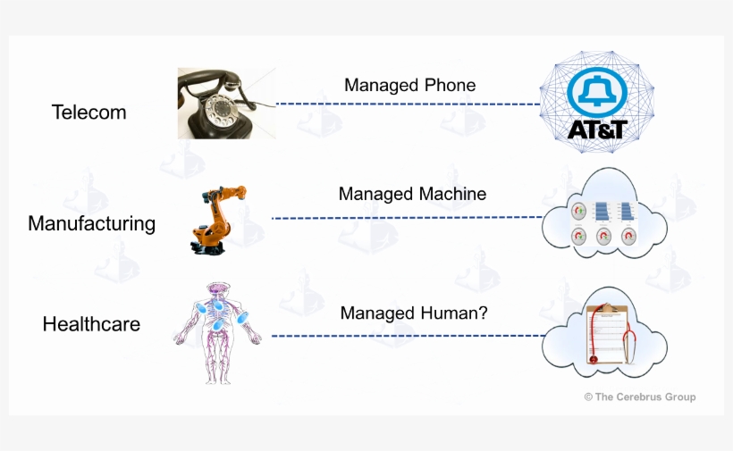 Should - Donald Trump Chicago Cubs, transparent png download