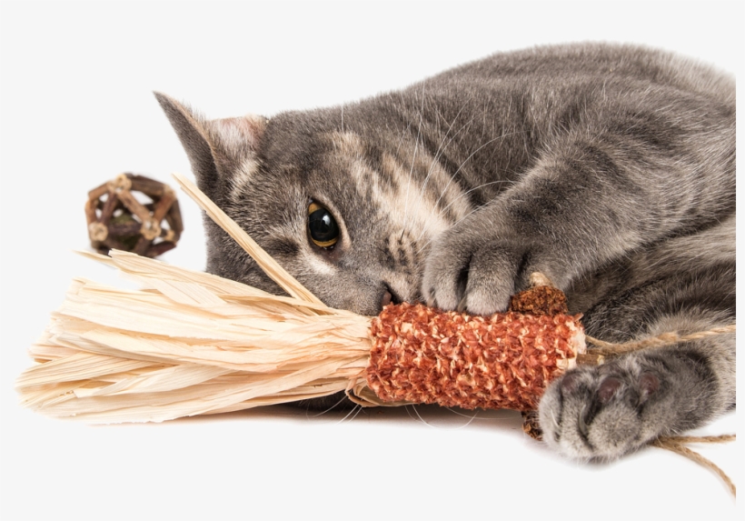 The Best For Your Cat All Natural Toy Made With Silver - Cat Toys, transparent png download