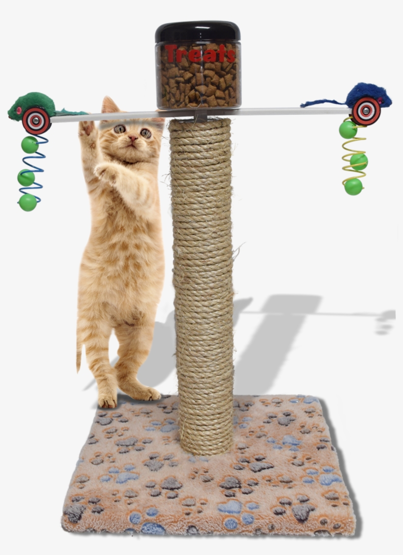 Meal Dispensing Cat Toy Exercise Food Center Fights - Design With Vinyl Exercise Toy Cat Tree Ractive Activity, transparent png download