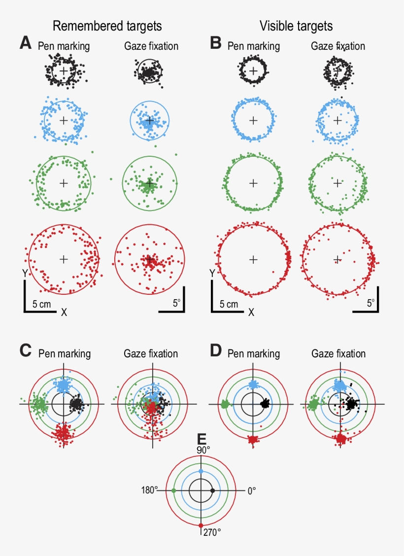 Locations Of Pen Markings And Related Gaze Fixations - Circle, transparent png download