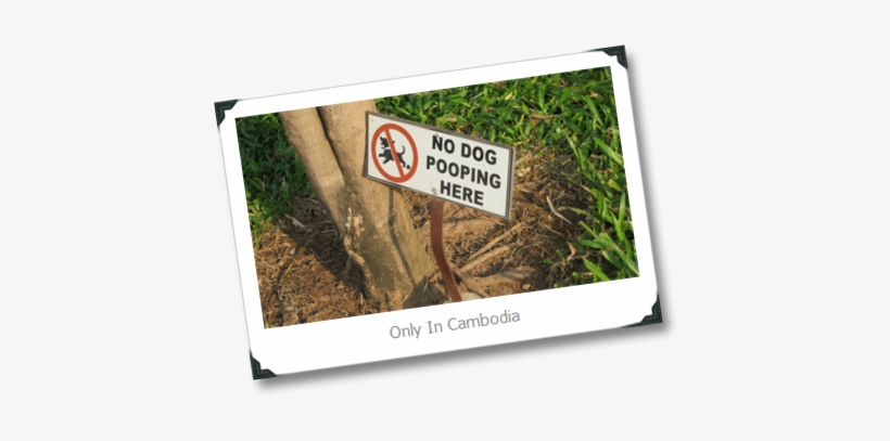 Sign, transparent png download