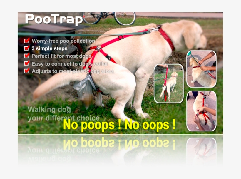 Pootrap For Dogs, transparent png download