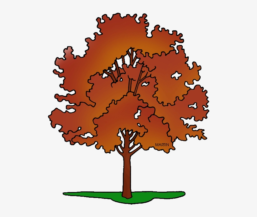 United States Clip Art By Phillip Martin, State Tree - Rhode Island, transparent png download