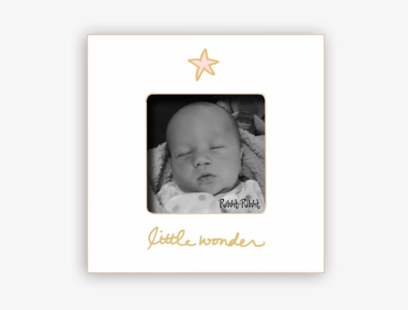 Little Wonder Rose - Picture Frame, transparent png download