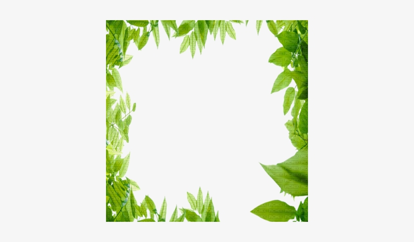 Green Leaves Frame, Fr - Cadre Feuille De Chene, transparent png download