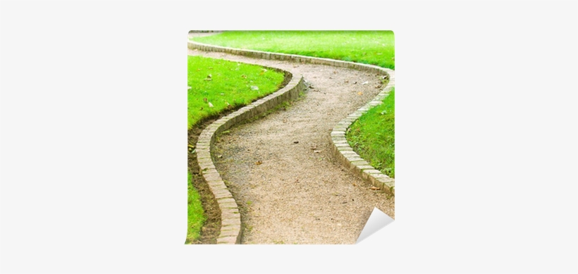 Winding Path In Botanical Garden Wall Mural • Pixers® - Winding Path, transparent png download