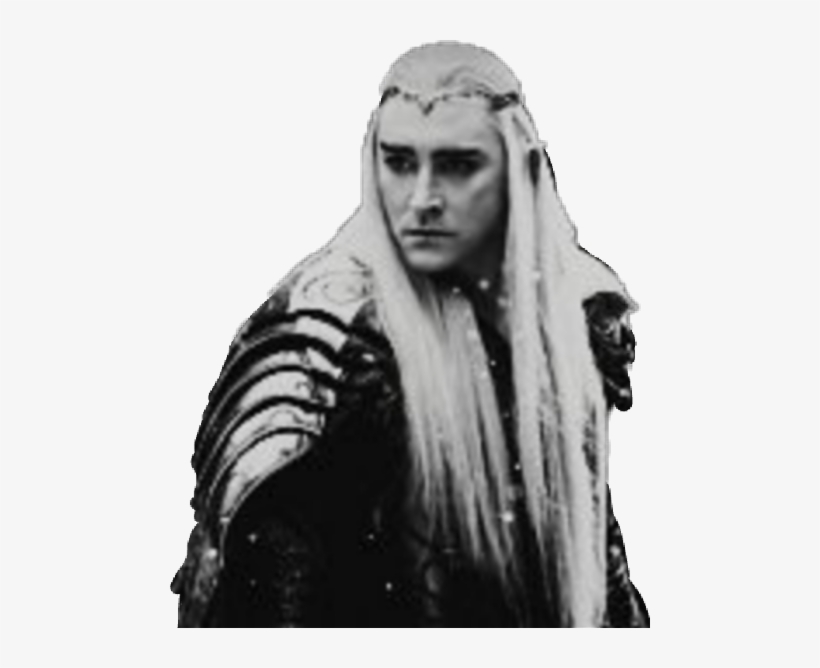 Lord Of The Rings Elf Prince, transparent png download
