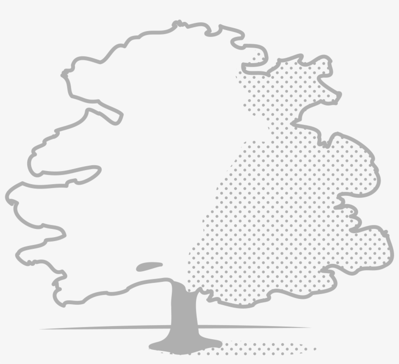 Enjoy The Great Stretches Of Open, Meadow-like Spaces, - Illustration, transparent png download