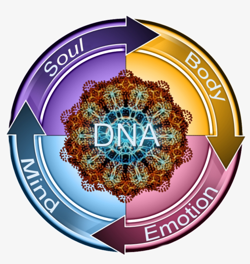 Read More At - Soul, transparent png download