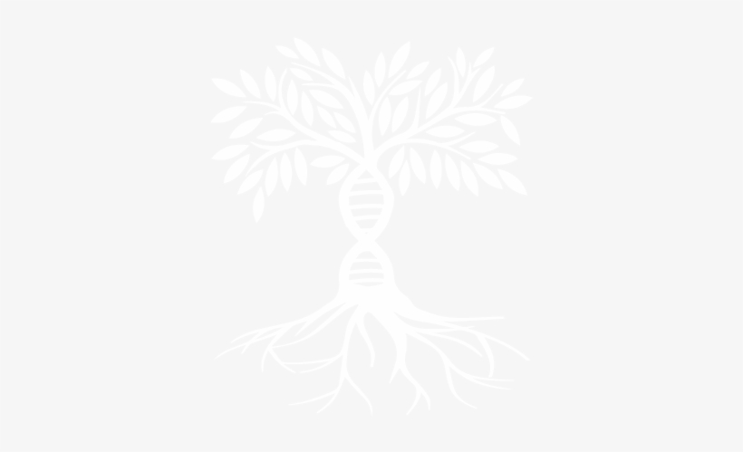 Root Cause Nutrition Tree White - Nutrition, transparent png download