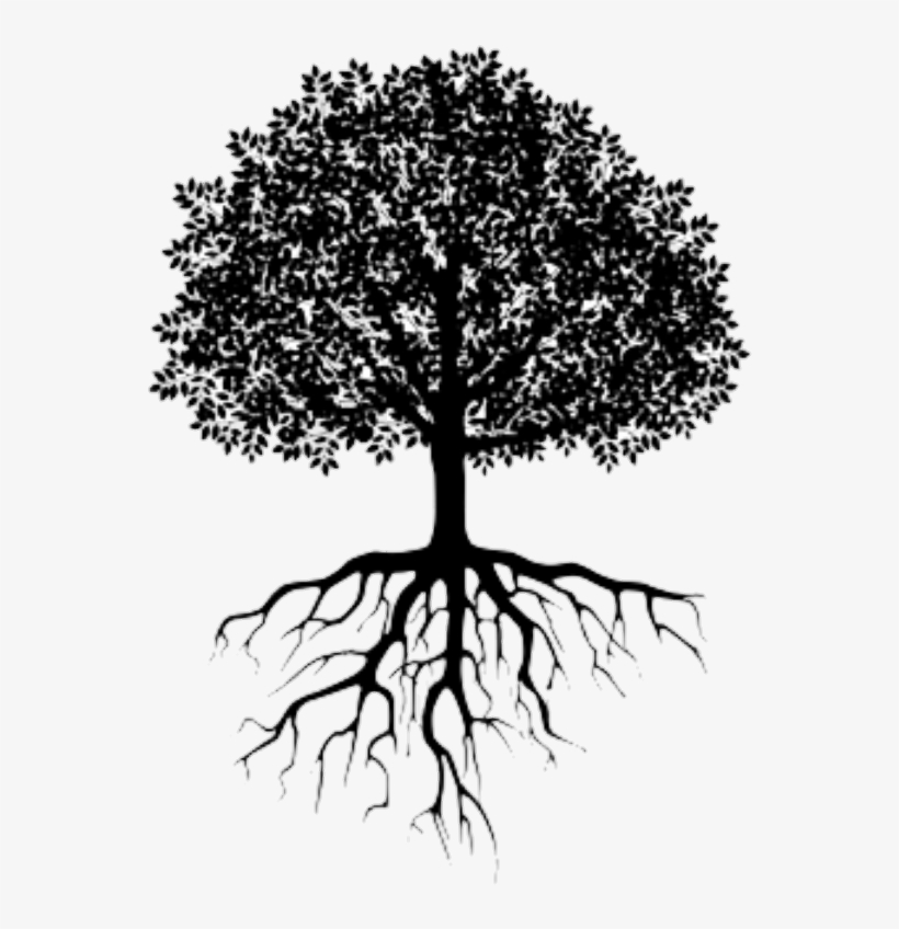 Essays Regarding The Human Condition [book], transparent png download