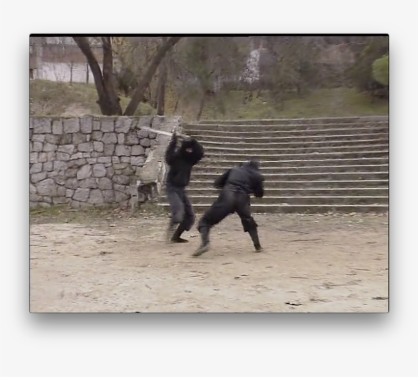 Koga Ryu Ninjutsu Empty Hands By Juan Hombre - Kōga-ryū, transparent png download