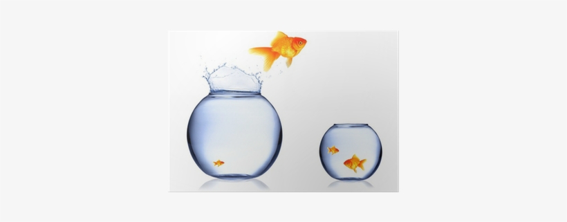 Aquarium, transparent png download