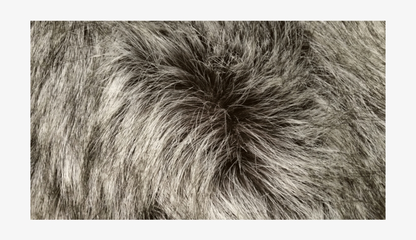 Salt And Pepper Raccoon Faux Fur [reference Only] - Faux Fur Raccoon, transparent png download