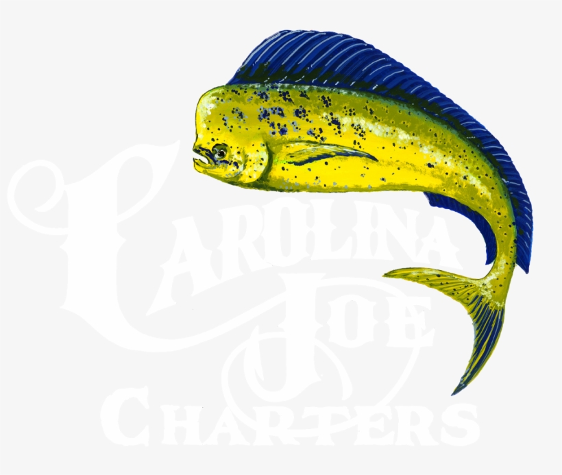 Carolina Joe Charters, transparent png download