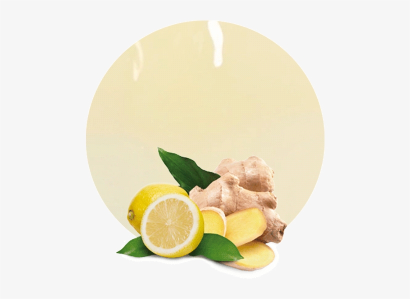 So The Demand For Raw Materials Like Lemon And Ginger - Plant Seed 50 Pcs/bag Ginger Seeds Balcony Organic, transparent png download