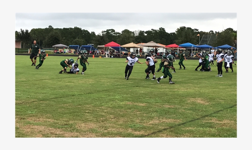 Panthers Football, transparent png download