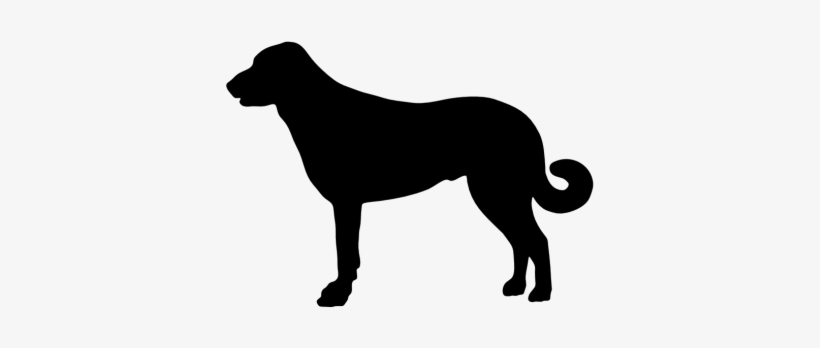 Dog Silhouettes - Anatolian Shepherd Dog Silhouette, transparent png download