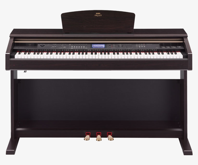 Studies Show That Children Practicing On A Portable - Yamaha Ydpv240 Digital Piano, transparent png download
