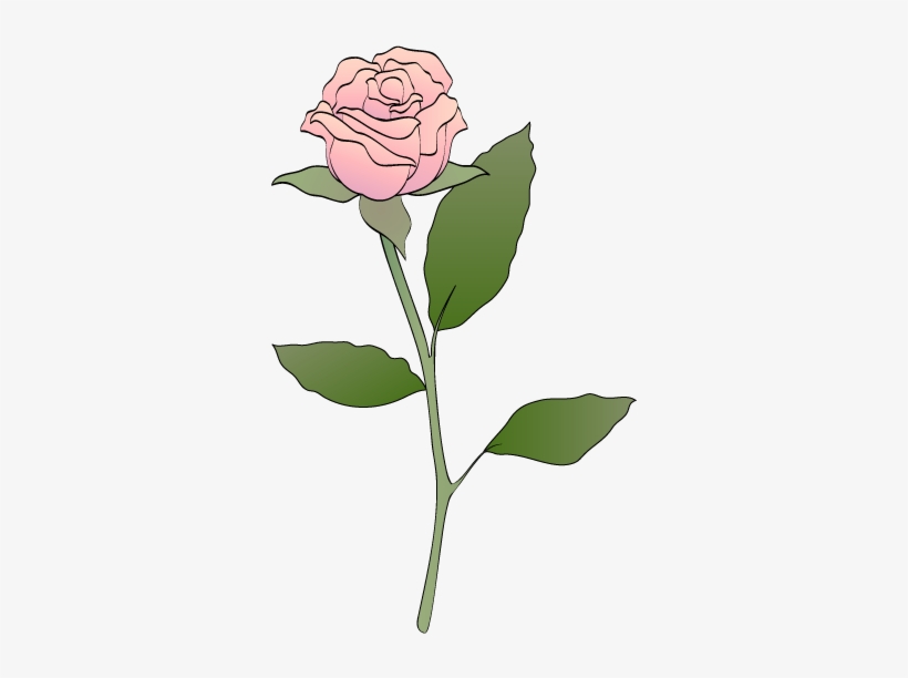 Pink Rose Clip Art - Blue Rose Clip Art, transparent png download