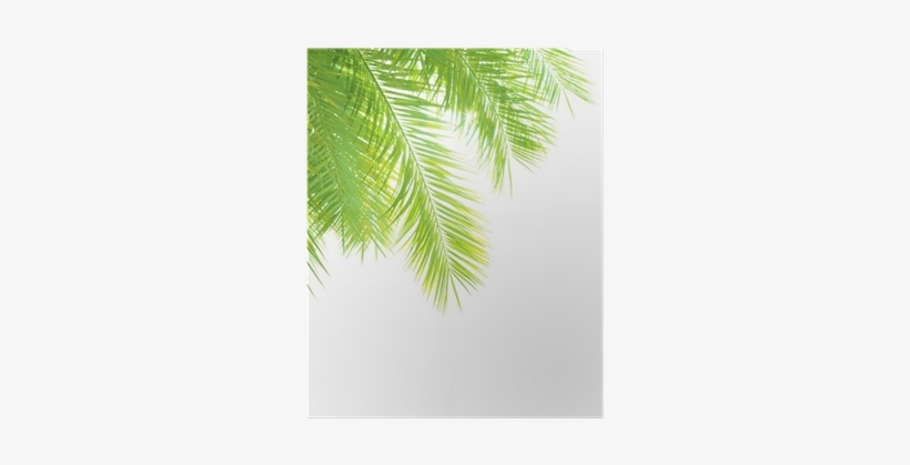 Clip Art, transparent png download