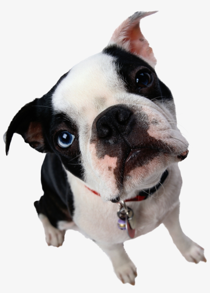 Jeff Lorber: Heard That Cd, transparent png download