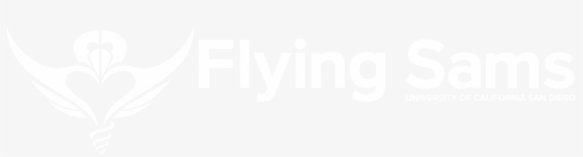 Graphic Design, transparent png download