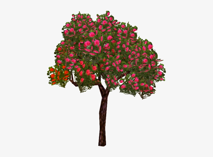Red Rhododendron - Bougainvillea, transparent png download