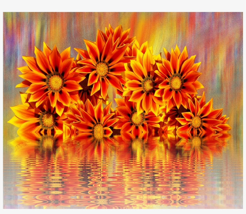 Pictures, Free Photos,, transparent png download