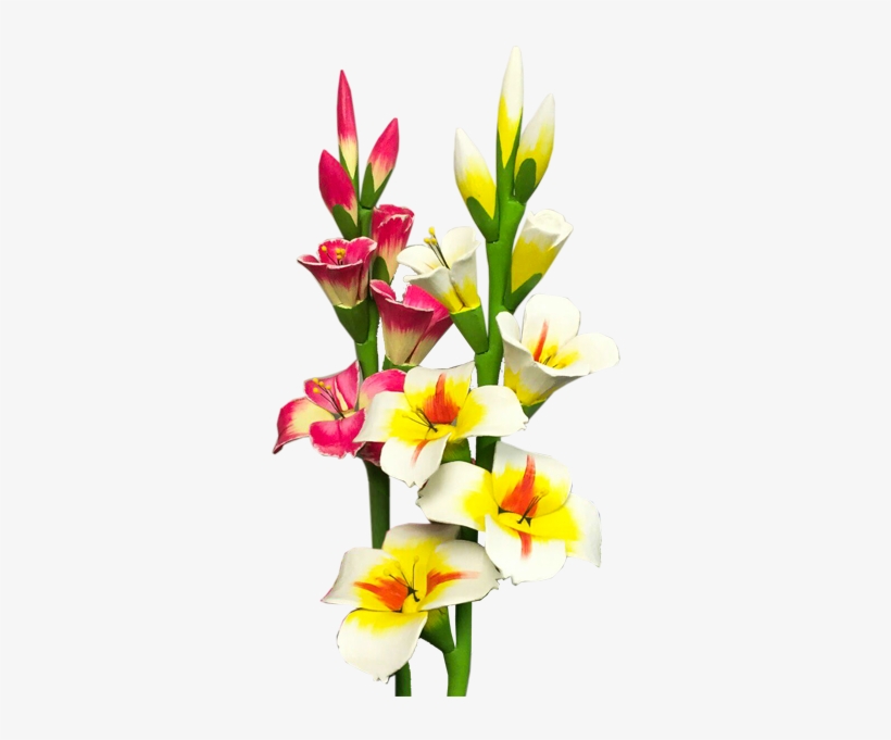 Gladiolus Png Photo - Gladiolus Flower Png, transparent png download