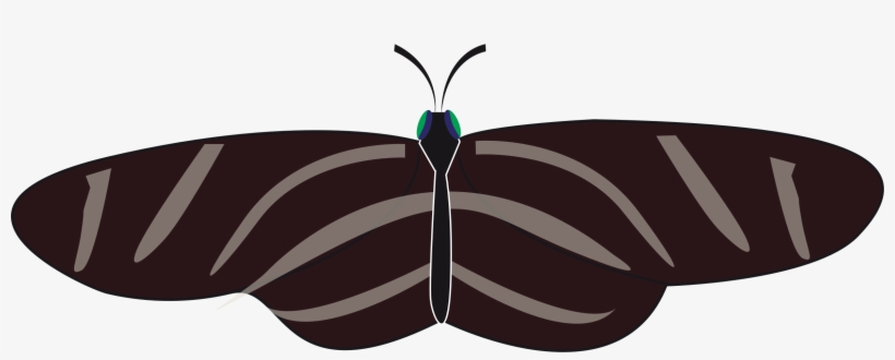 This Free Icons Png Design Of Butterfly Zebra Long, transparent png download