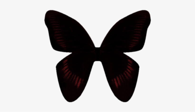 If You Need It To Be Divided I Can Do It - Butterfly, transparent png download