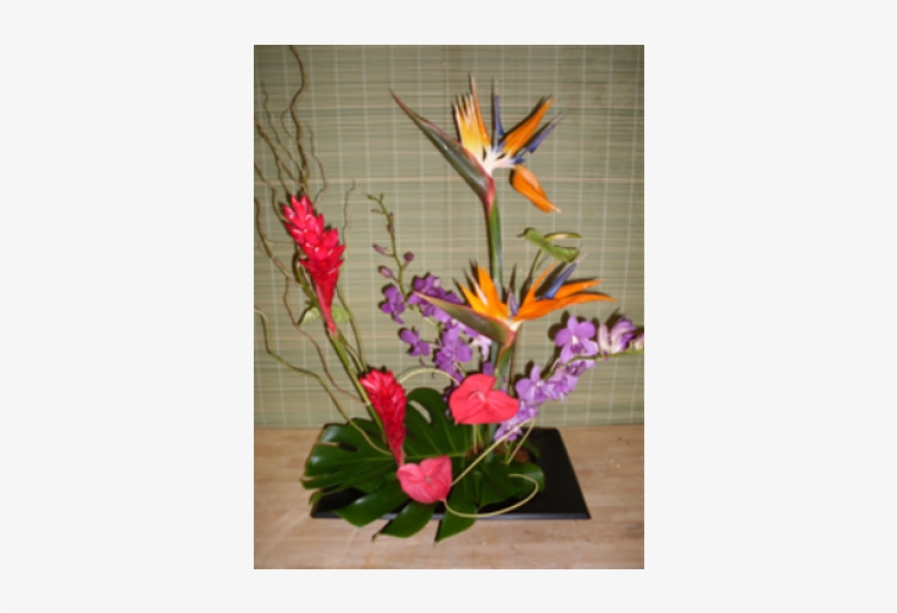 Tropical Romance - Bird Of Paradise, transparent png download