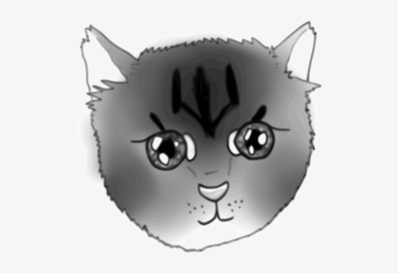 Cat, transparent png download