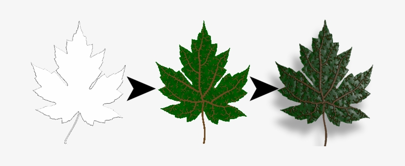 Maple Leaf, transparent png download