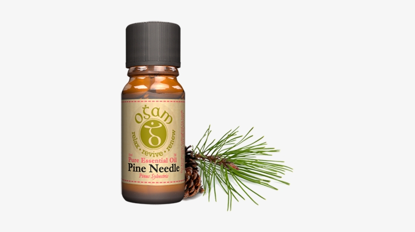Pinus Sylvestris - Essential Oil, transparent png download