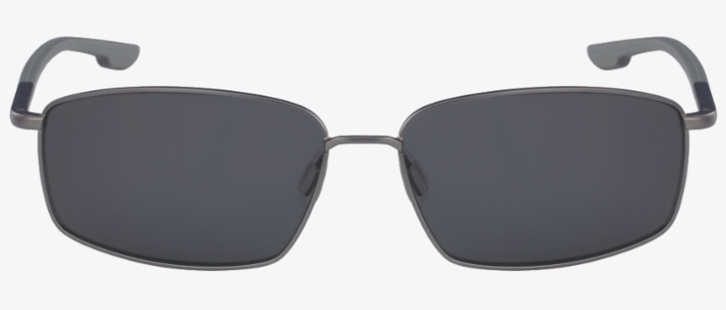 C107s Pine Needle - .com, transparent png download