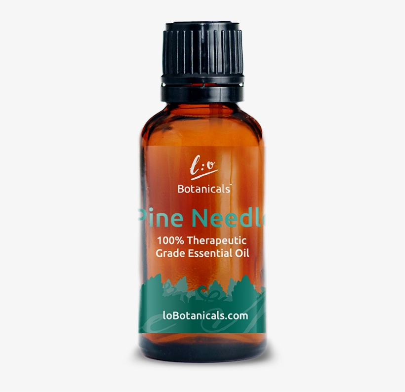 Pine Needle - Pine Needle Tea, transparent png download