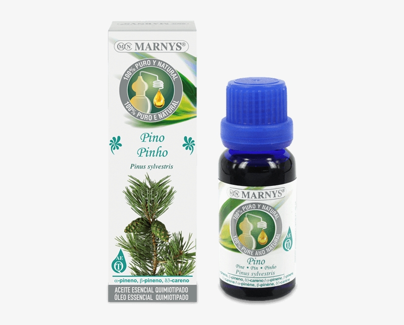 Pine Essential Oil - Aceite De Anis De Estrella, transparent png download