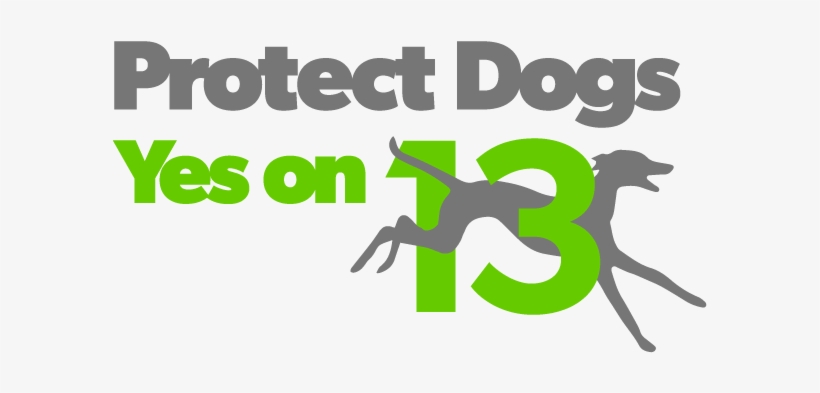 The Humane Society Recently Welcomed A $1 - Vote Yes On Amendment 13, transparent png download