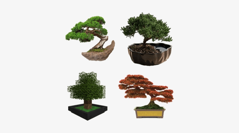 Bonsai Decoration, transparent png download
