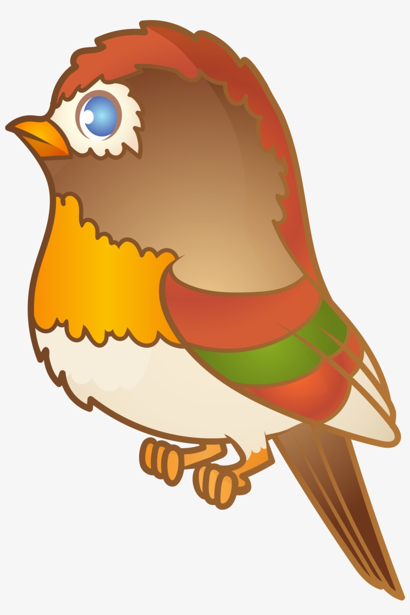 Bird, transparent png download