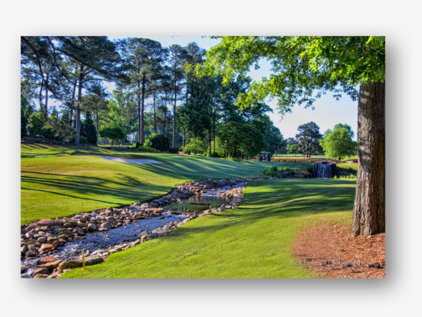 And With The Recent Release Of The Second-generation - Grass, transparent png download